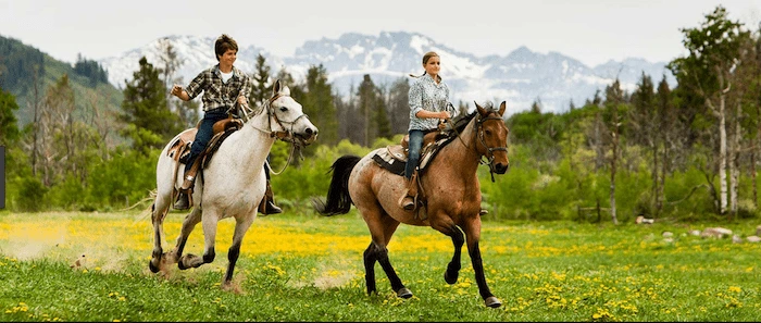 Confident plus-size woman riding Rotherham a horse through a field with a smile on her face.